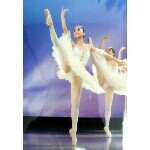 10748423_669692186477931_1548419099_a