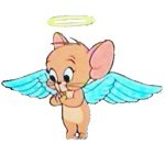 11311354_818972808188342_1228632278_a