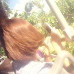 925944_489327637873994_1639316574_a