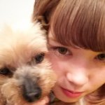 11236065_808982585853915_1505959774_a