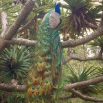 10684282_761730680532697_1519577251_a