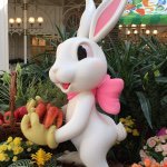 10748002_1503611736592146_1049937353_a