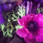 10949075_725934200838234_1627443252_a