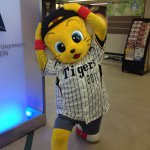 Profile_466247012_75sq_1373871240