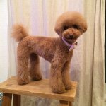 10948863_375835755874554_242315621_a