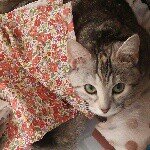 Profile_1276753699_75sq_1399192889