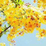 10693809_815237751891480_1973407373_a