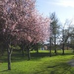 10608030_1465644073691559_1297383488_a