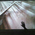 10899394_1386678621637819_1841462298_a