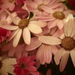 Profile_2894999_75sq_1310590398