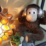 11123794_1426620067640260_2001798486_a