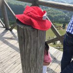 11199558_726462007473088_1594482211_a