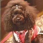 Profile_973451382_75sq_1389614622