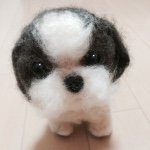 10810093_362613310570950_2034914902_a