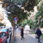 11022989_1548606895392510_964888204_a