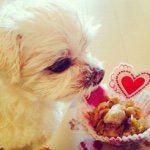 11355003_1437829319871015_1644668743_a