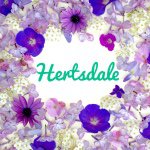 11282029_377627699028407_1256568351_a