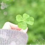 10963903_791429337618073_1313051512_a