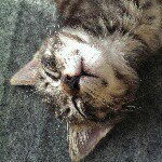 10950641_659003274210568_1929917843_a