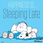 11363767_1616660355243533_1054717277_a