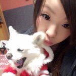 11007938_377756929063088_1141510083_a