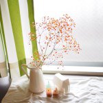 11230427_1404948763162038_1010471247_a