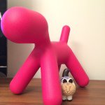 10986362_336807239847702_542485320_a