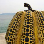 1922083_1523314211240810_598042846_a