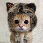 10375830_1431204170483492_1159310395_a