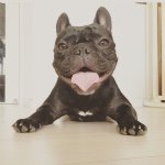 11258059_1639037699642635_2027322428_a