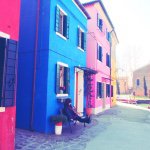 11005028_1634924303403383_1955302848_a