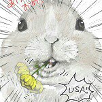 11374618_1565934983670574_204897382_a