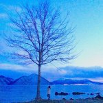 11005060_667407820034697_1695997501_a