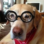 Profile_313848293_75sq_1399499544