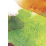 11015605_419285154911642_673029729_a