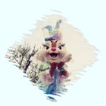 11085030_1637271799828882_316637669_a