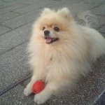 10413169_1640174739540124_1833039202_a