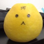 11426740_1452499081731783_851288360_a