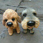 11326491_1586116938325299_23424454_a