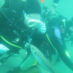 11111273_1569065913366262_956350725_a