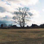 10838540_334852090055948_1933580193_a