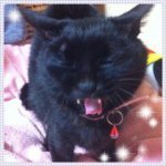 Profile_5297377_75sq_1365726763