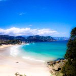 11254517_830951303608029_727969439_a