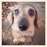 Profile_29711148_75sq_1338447369