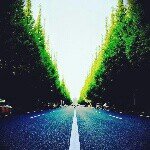 10488630_341793265975286_1888528029_a