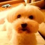 Profile_1215233190_75sq_1395900490