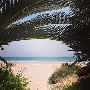 10387792_562492113872498_752021382_a