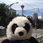 11312182_511265159022408_706950851_a