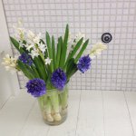 10895437_1583940715175463_2108893547_a