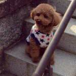 10914167_583001638501030_255779541_a